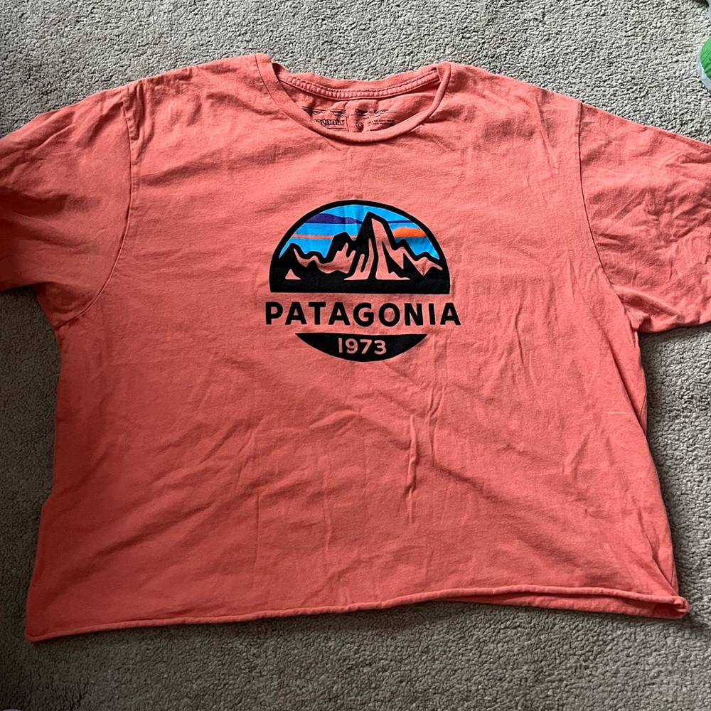 Patagonia Tee